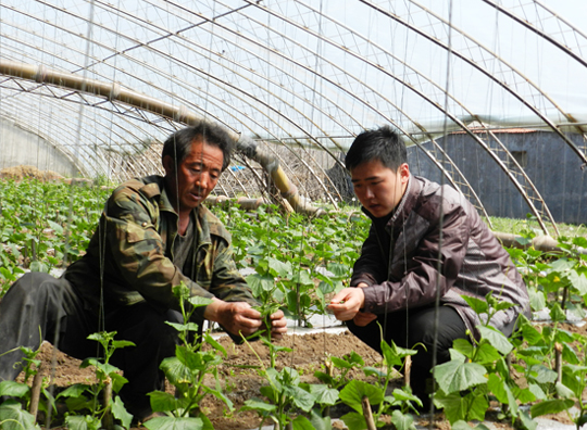 “绿色”蔬菜种植帮助残疾农民脱贫致富